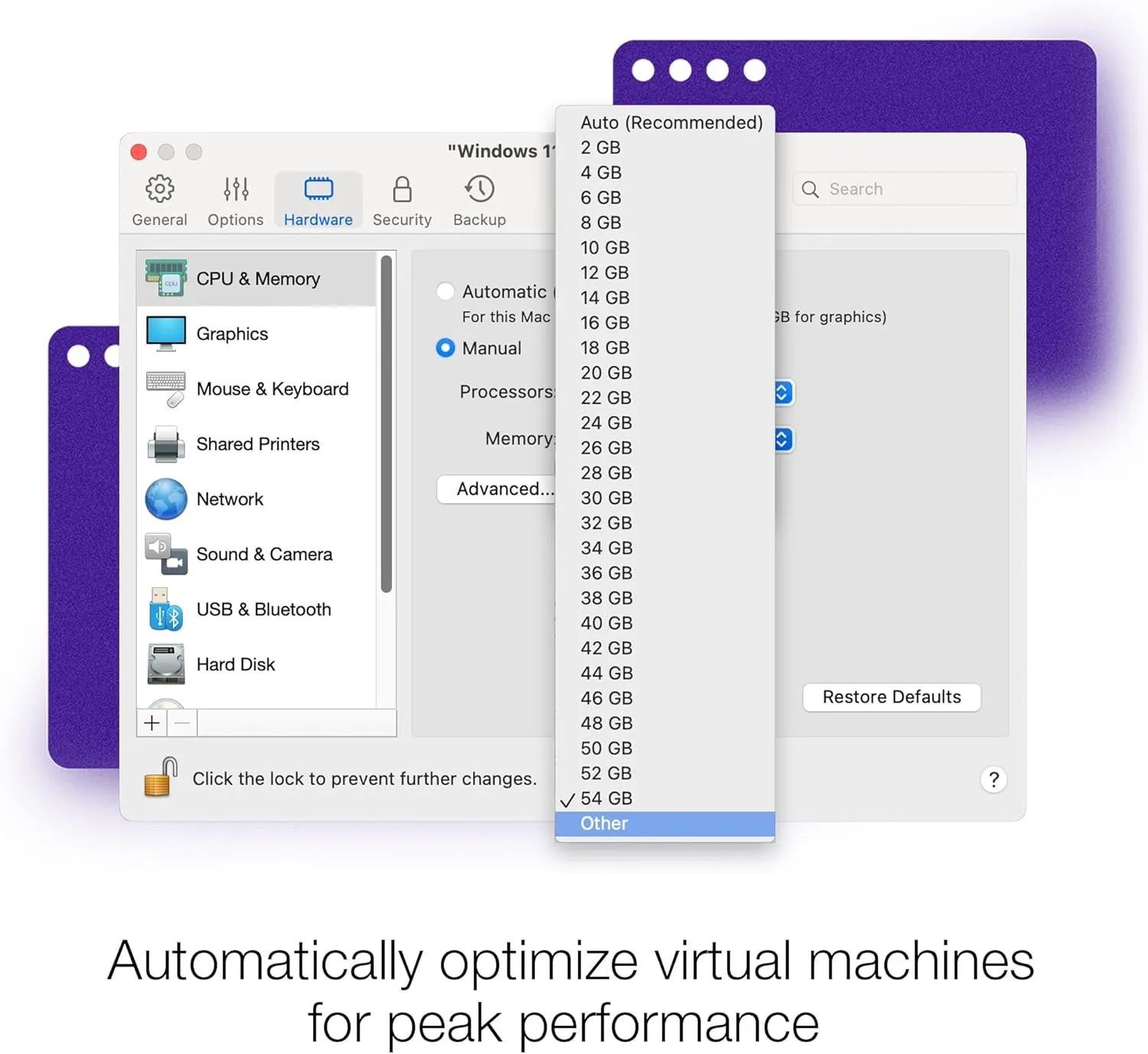 Parallels Desktop 20 for Mac Pro Edition | Run Windows on Mac Virtual Machine Software | Authorized by Microsoft | 1 Year Subscription [Mac Key Card]
